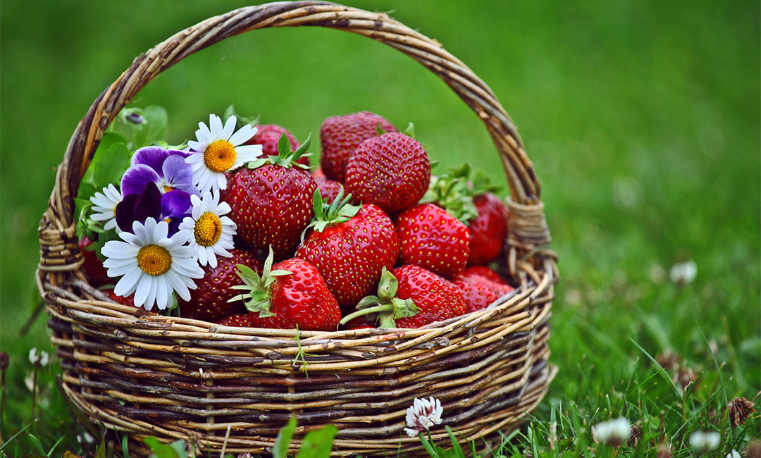 衢州点呀点水果电商APP开发案例